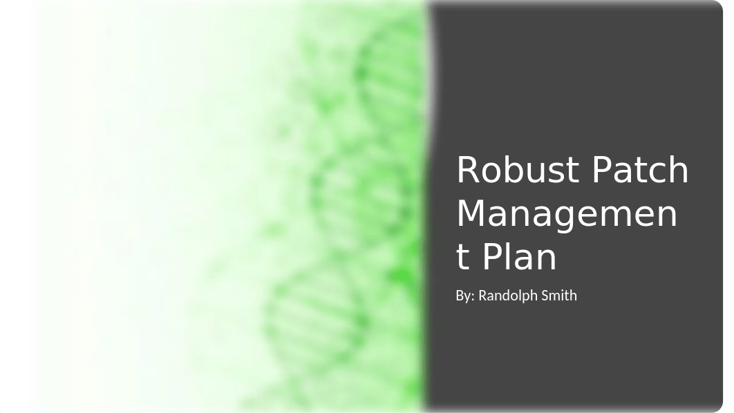 Robust Patch Management Plan.pptx_dj2oiox71vc_page1