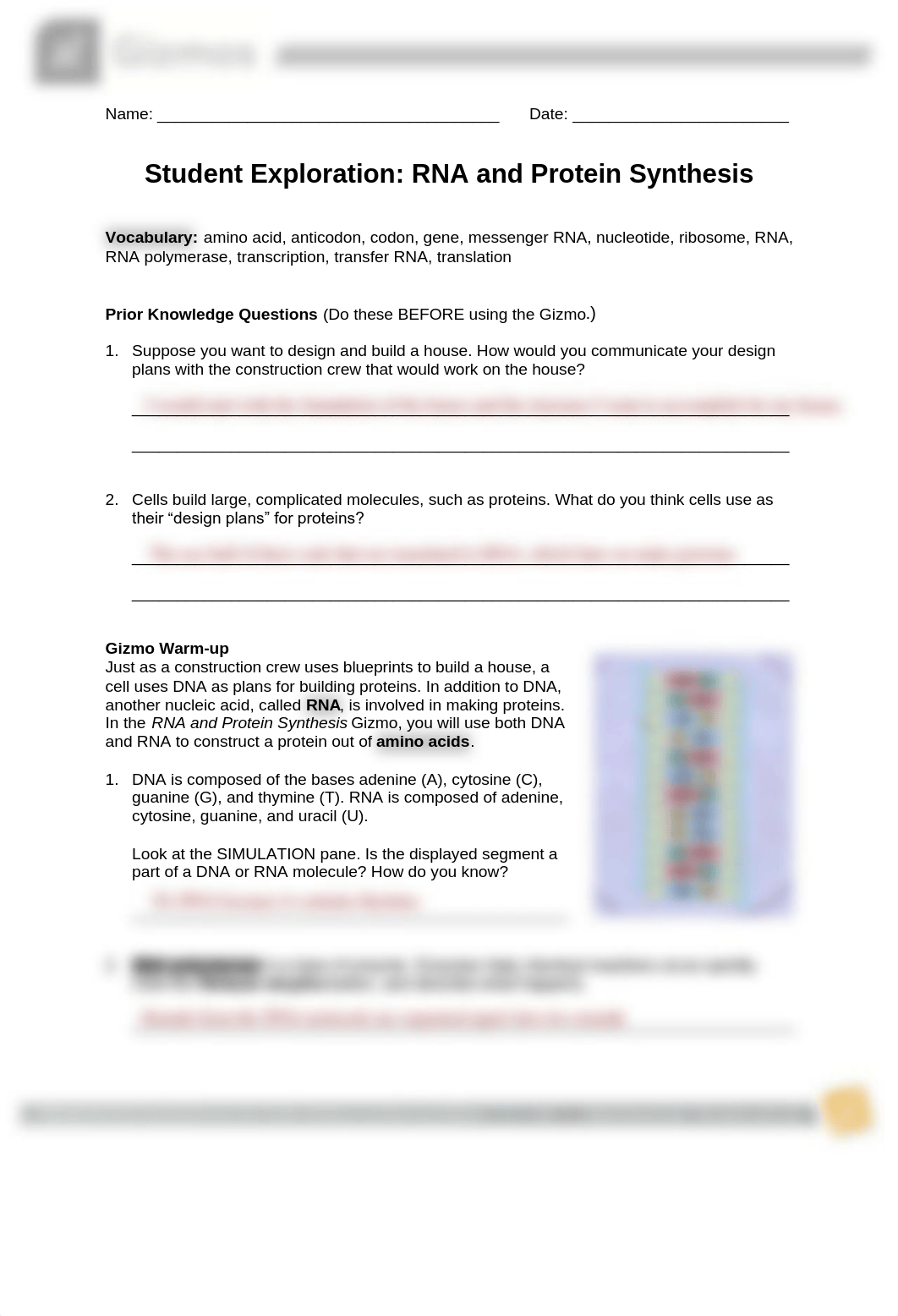 RNA Protein Synthesis.pdf_dj2r90dgghx_page1