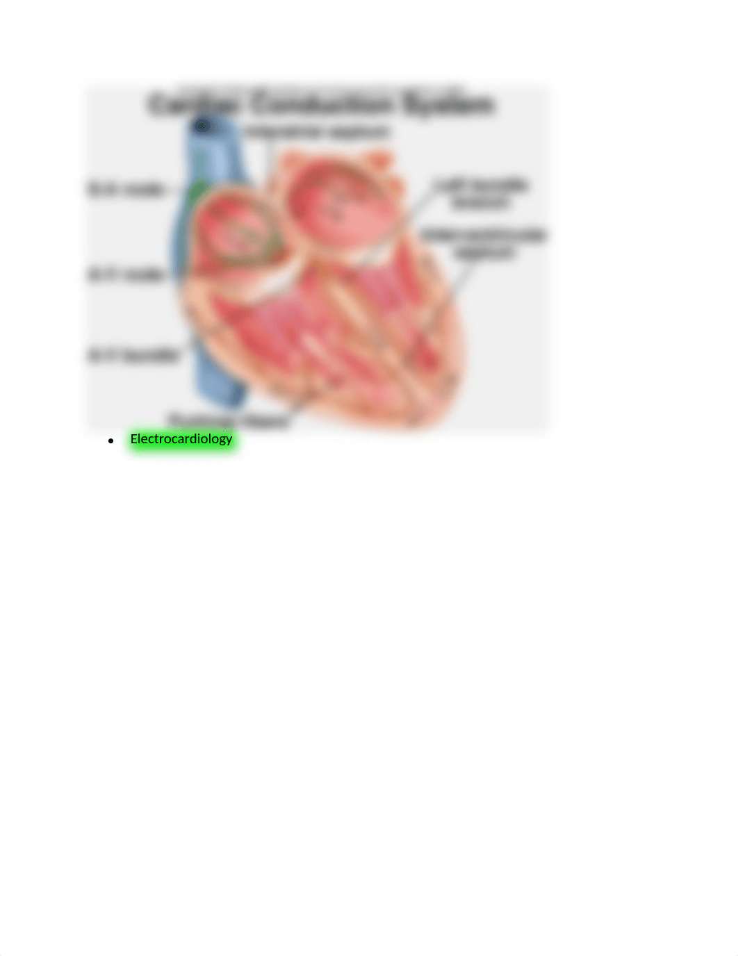 Med Surg 3-Test 2 SG_dj2te178kc5_page2