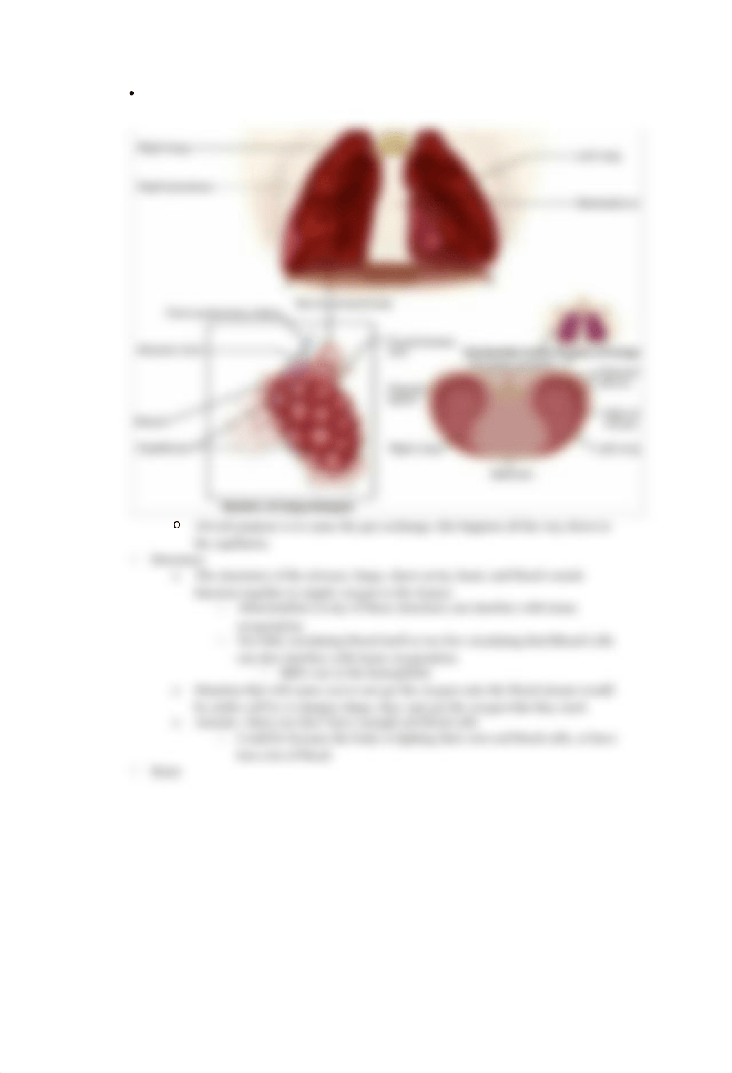 Oxygenation notes_dj2yqxlkobq_page3