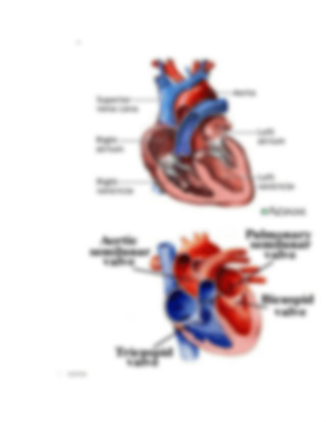 Oxygenation notes_dj2yqxlkobq_page4