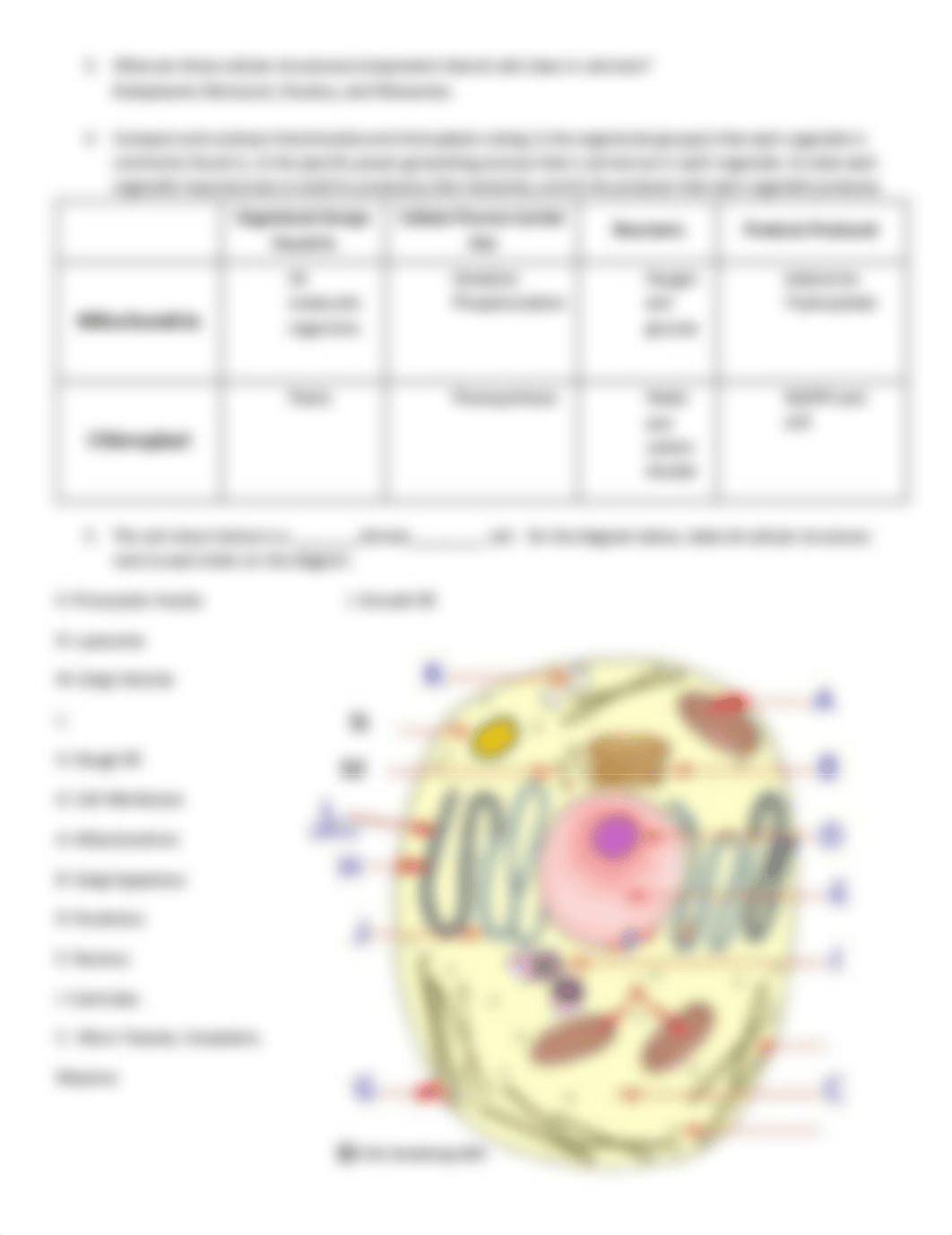 Cell Structure and Function Worksheet Fall 2020 (1).pdf_dj32fs23fj9_page2