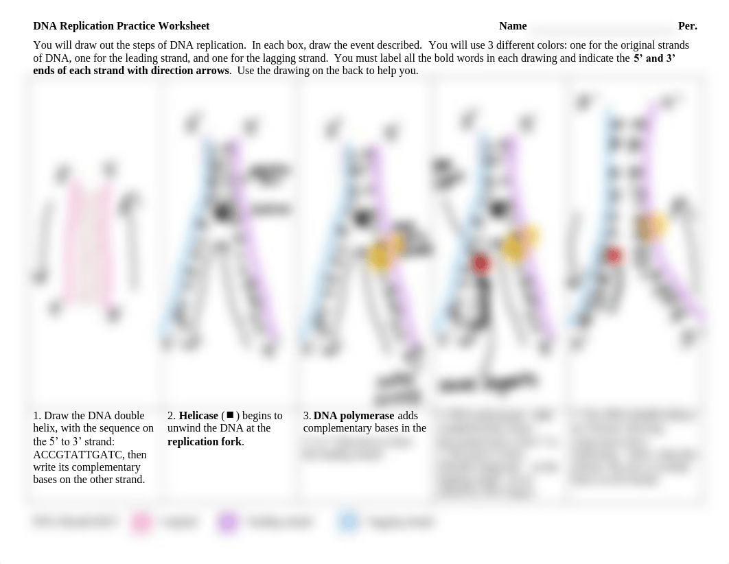 DNA_Replication_Practice_Worksheet.pdf_dj33y6embmr_page1