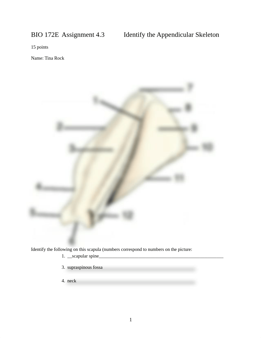 ASSN 4.3 Identify the Appendicular Skeleton(1)(1).docx_dj35m71g1vn_page1