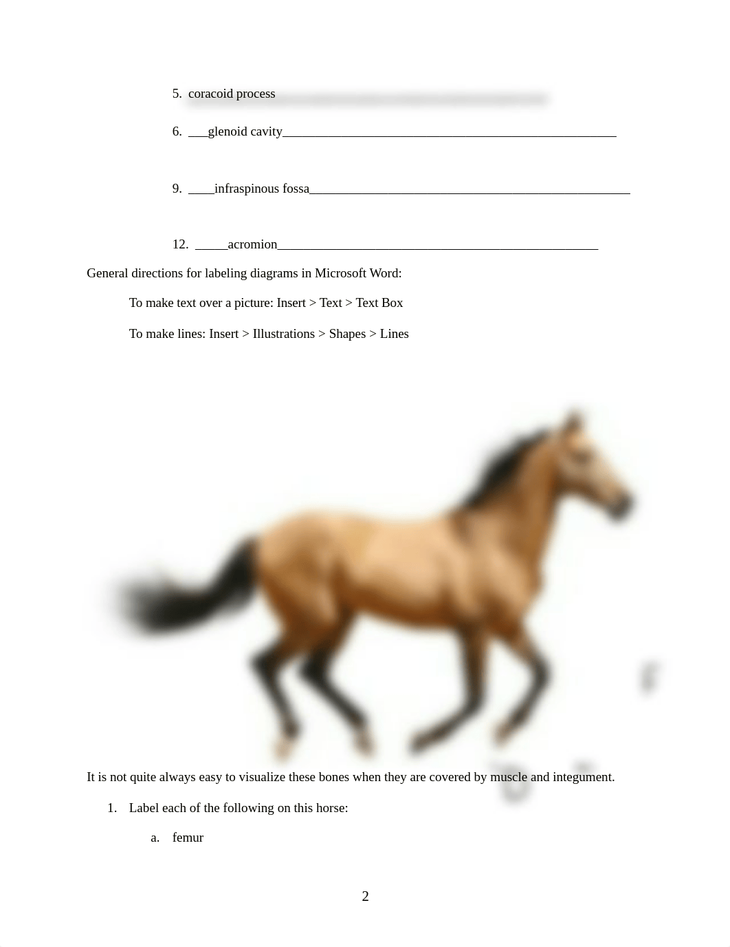 ASSN 4.3 Identify the Appendicular Skeleton(1)(1).docx_dj35m71g1vn_page2