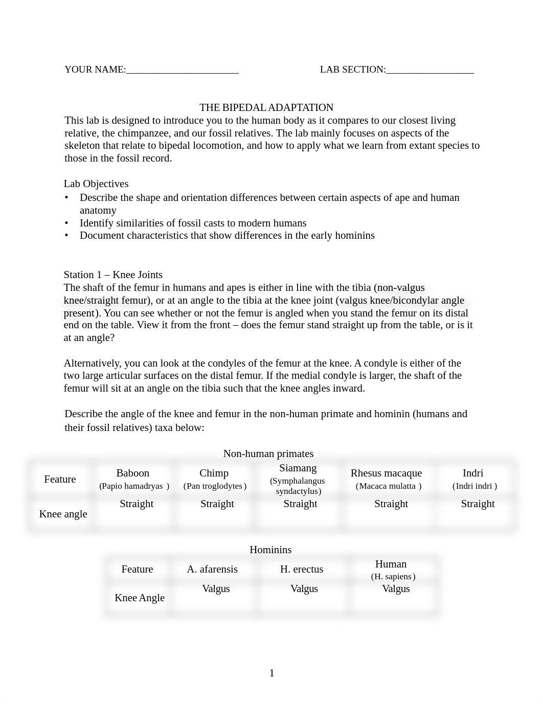 Copy of 8 Bipedalism Lab STUDENT (Autosaved).docx_dj3b1o2sjat_page1