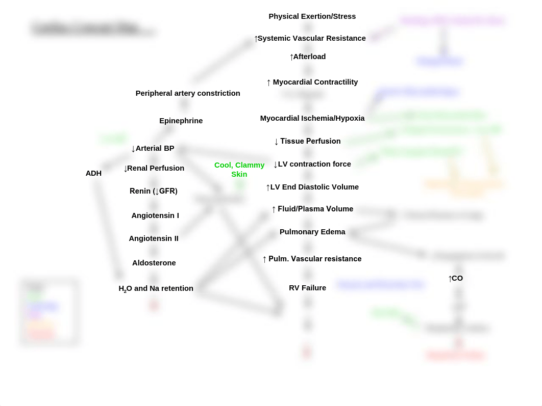 Pathophysiology Cardiac Concept Map.pdf_dj3ij6j4axd_page1