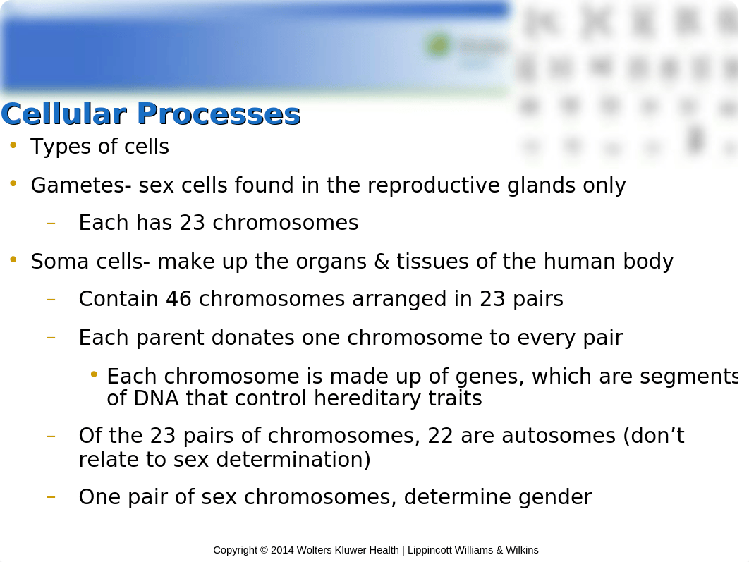 NUR104 Chapter 5 Hatfield.ppt_dj3lhgtbkb7_page2