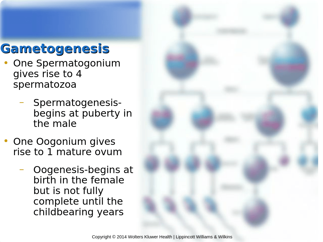 NUR104 Chapter 5 Hatfield.ppt_dj3lhgtbkb7_page5