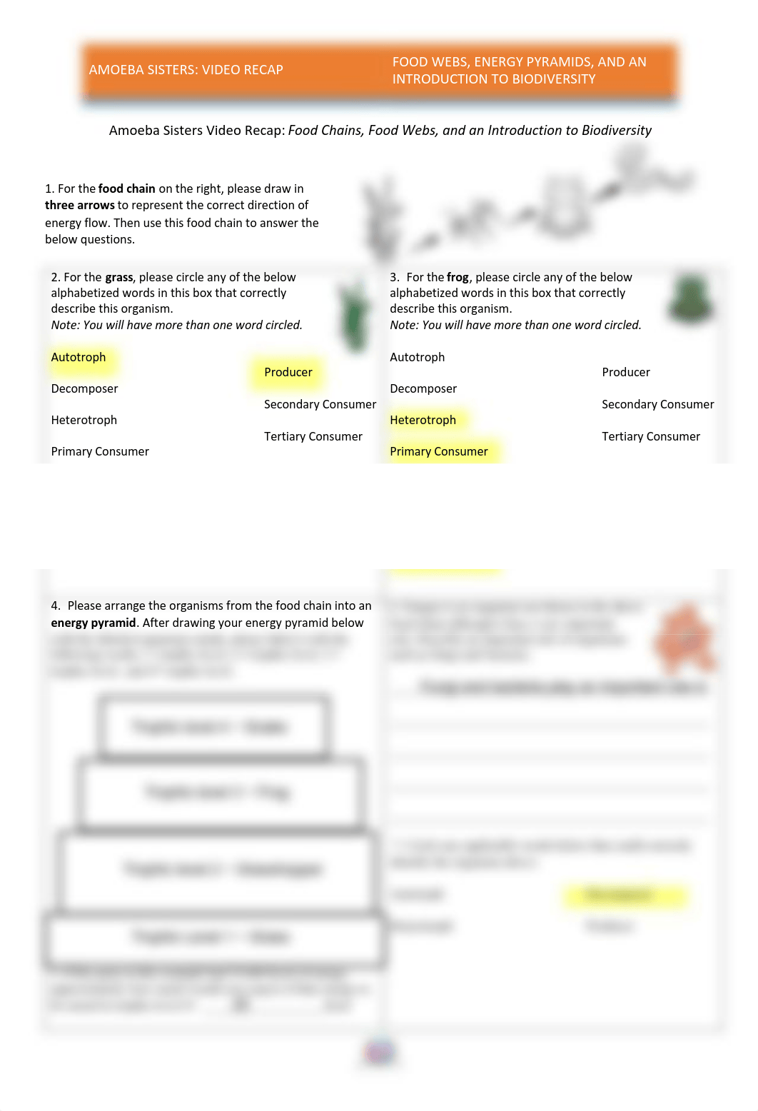 Shrushti Pandey - Amoeba Sisters Food Webs worksheet.pdf_dj3q2ejmy0l_page1