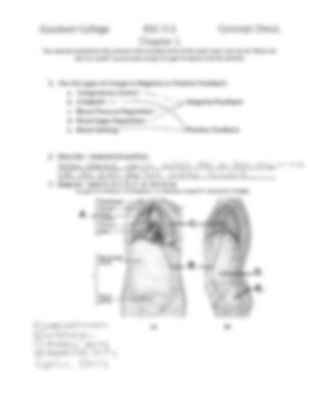 Bio 211 Concept Check 1.pdf_dj3vrduyzpd_page2