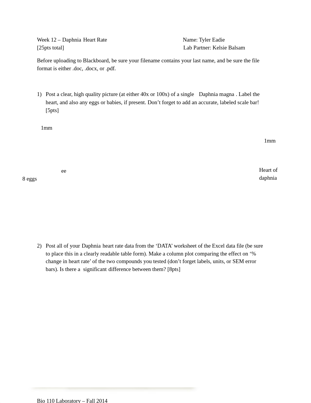 Week 12 HOMEWORK - Daphnia Heart Rate (1)_dj3yhi94yqq_page1