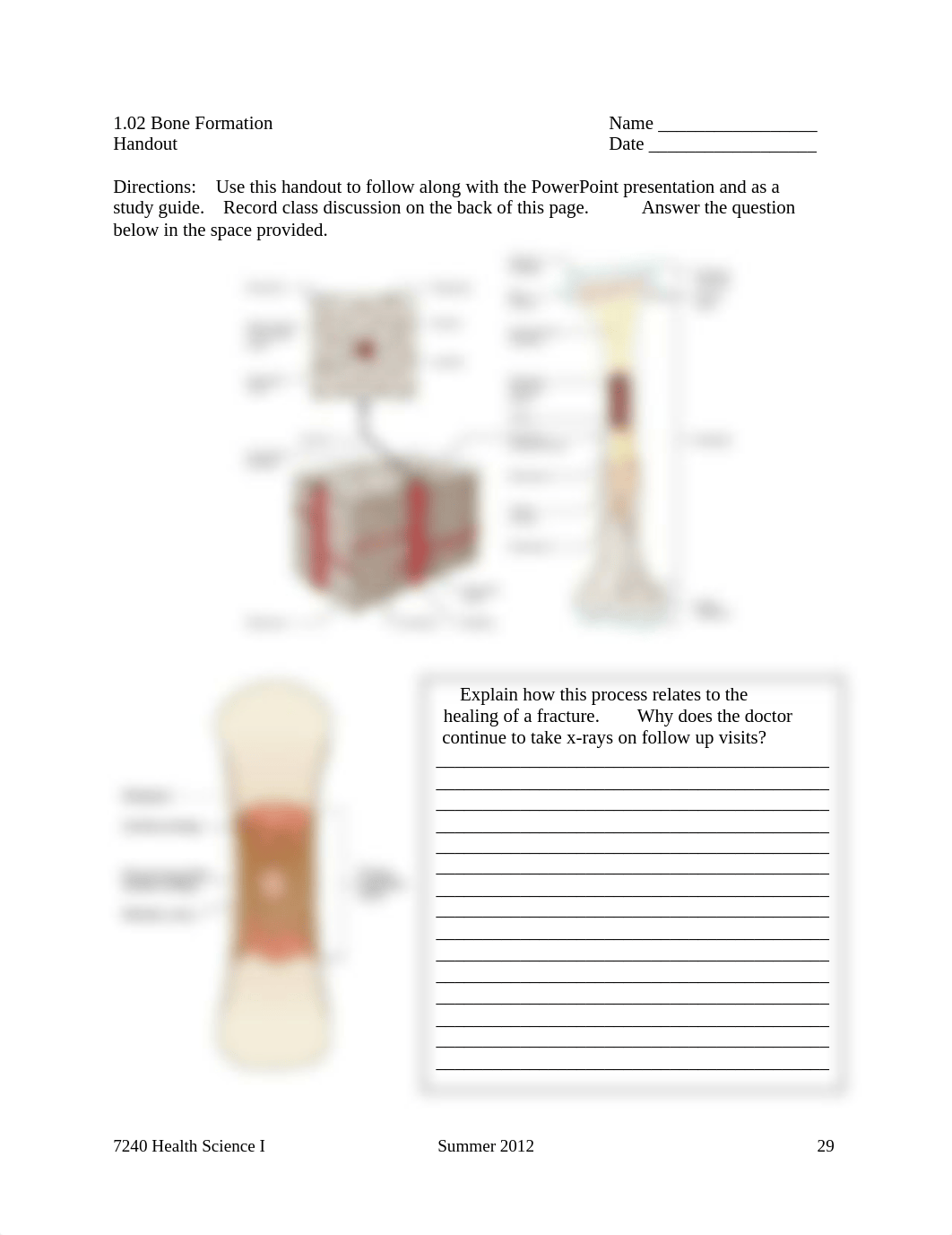 1.02 Skeletal System Handouts.docx_dj3zmcsvff1_page1