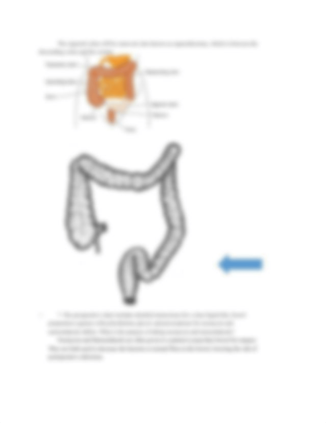 ONCOLOGY VIRTUAL CLINICAL ASSIGNMENT.docx_dj41dy1i7r2_page2