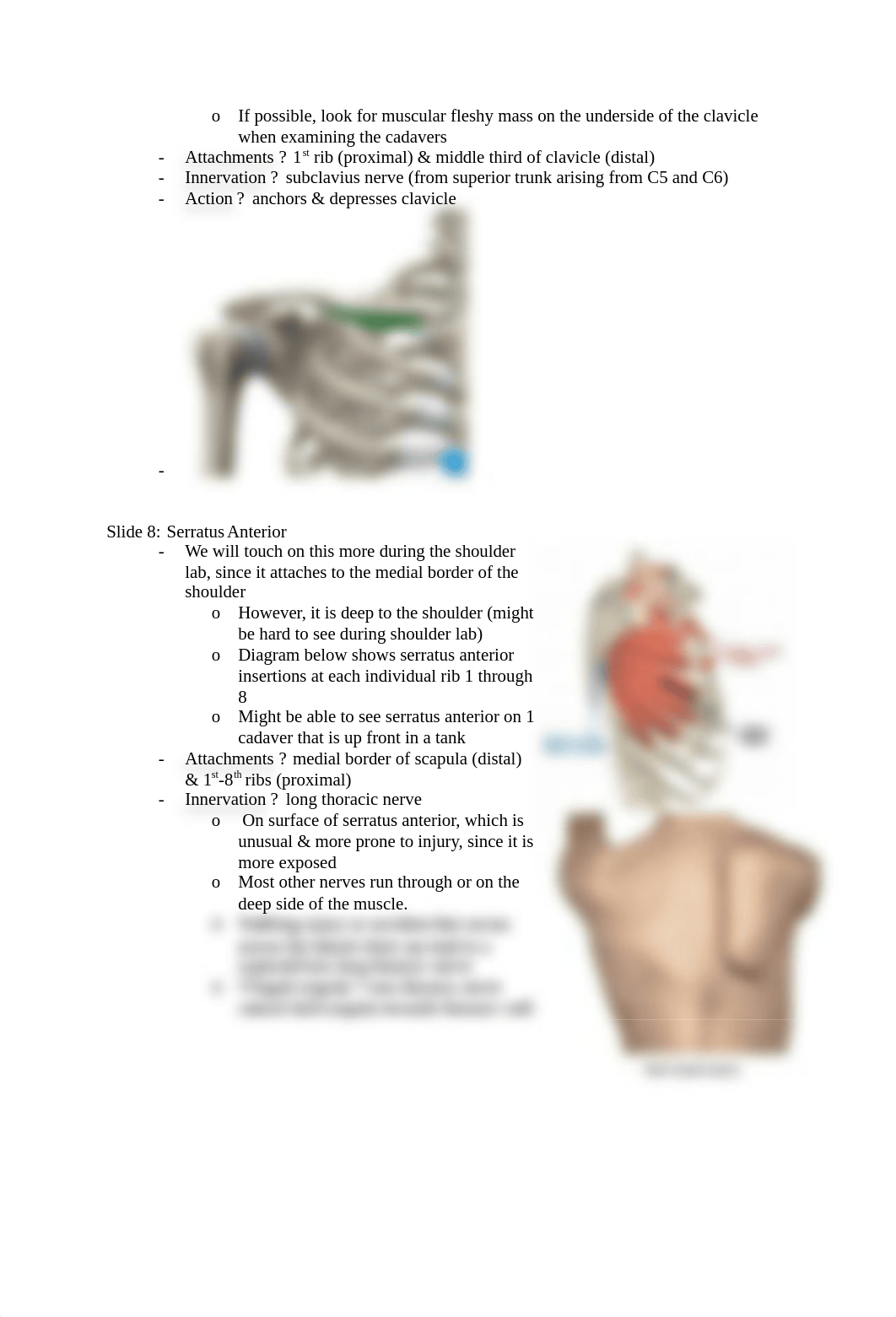 2018-2019 Anat Lecture 3 - Chest, Axilla, Brachial Plexus.docx_dj4228osa6e_page3