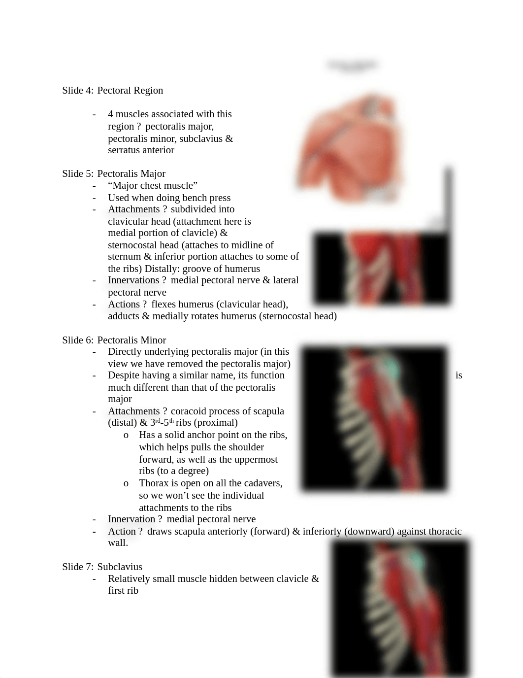 2018-2019 Anat Lecture 3 - Chest, Axilla, Brachial Plexus.docx_dj4228osa6e_page2