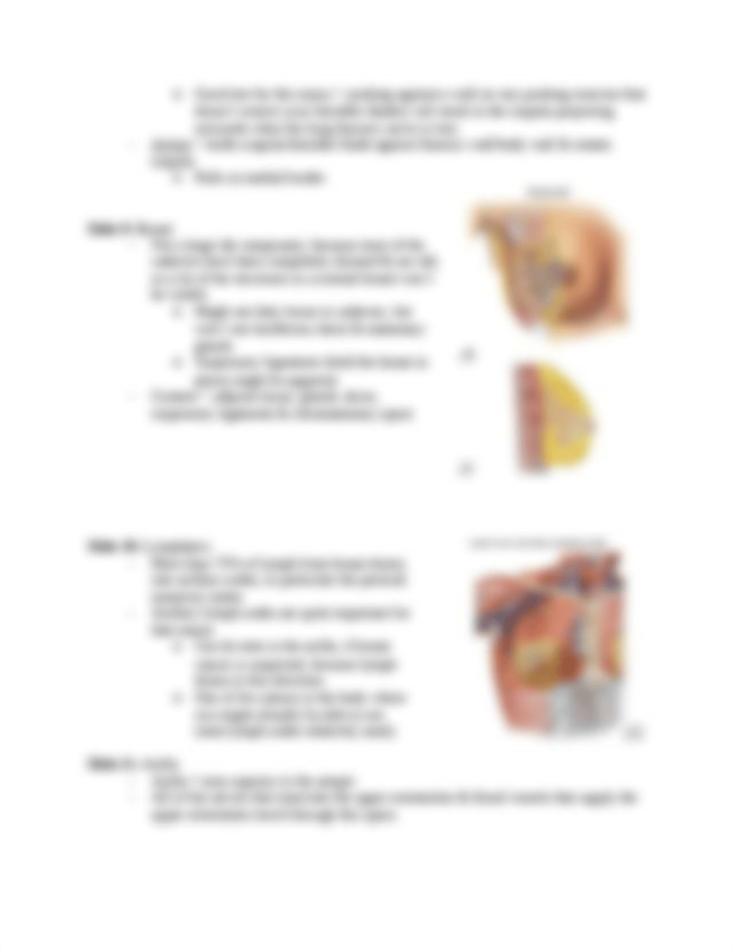 2018-2019 Anat Lecture 3 - Chest, Axilla, Brachial Plexus.docx_dj4228osa6e_page4