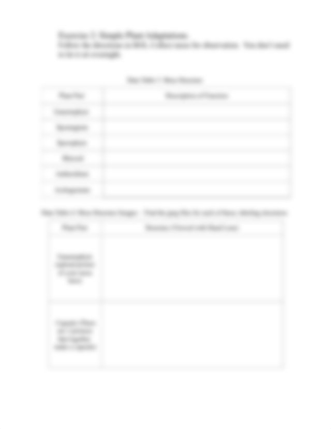 Worksheet 6 - Simple Plants-New (1).docx_dj45w7pavhv_page3