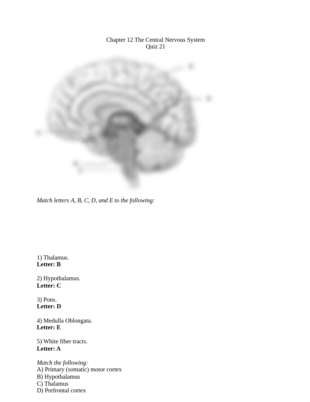 Ch. 12 quiz 21 The Central Nervous System.docx_dj49tjpeegk_page1