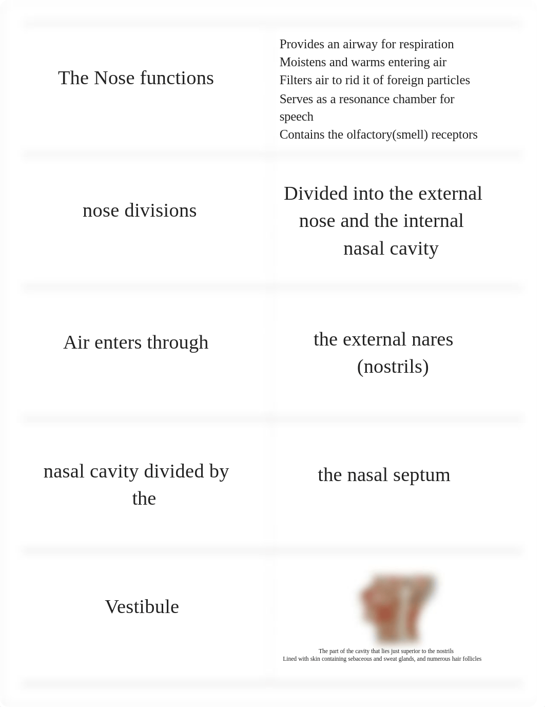 Anatomy 231 Lec Exam 3 RIC Baum_dj4heuuj9vo_page3