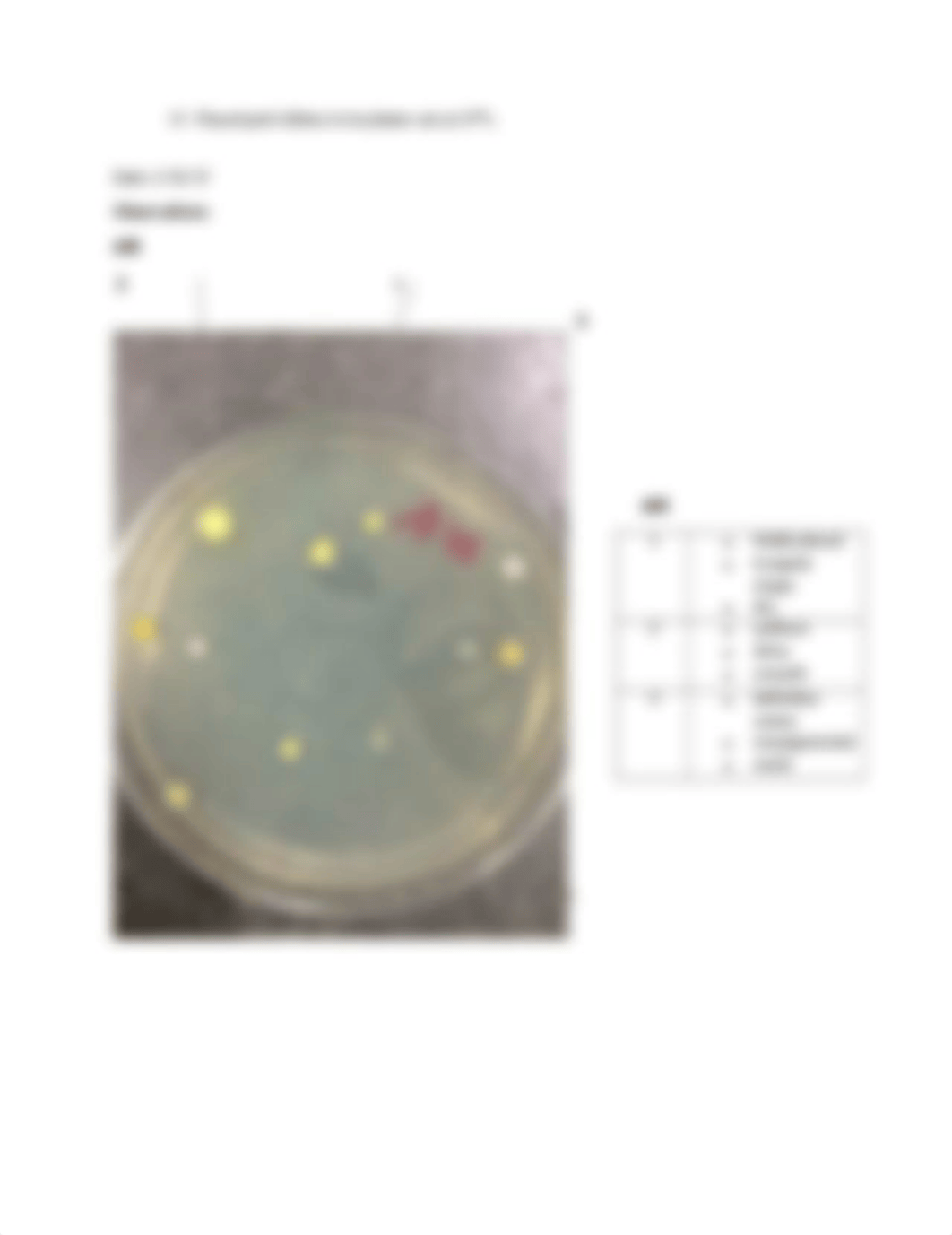 Lab Report- Ubiquity of Microorganisms_dj4lw4oorax_page2