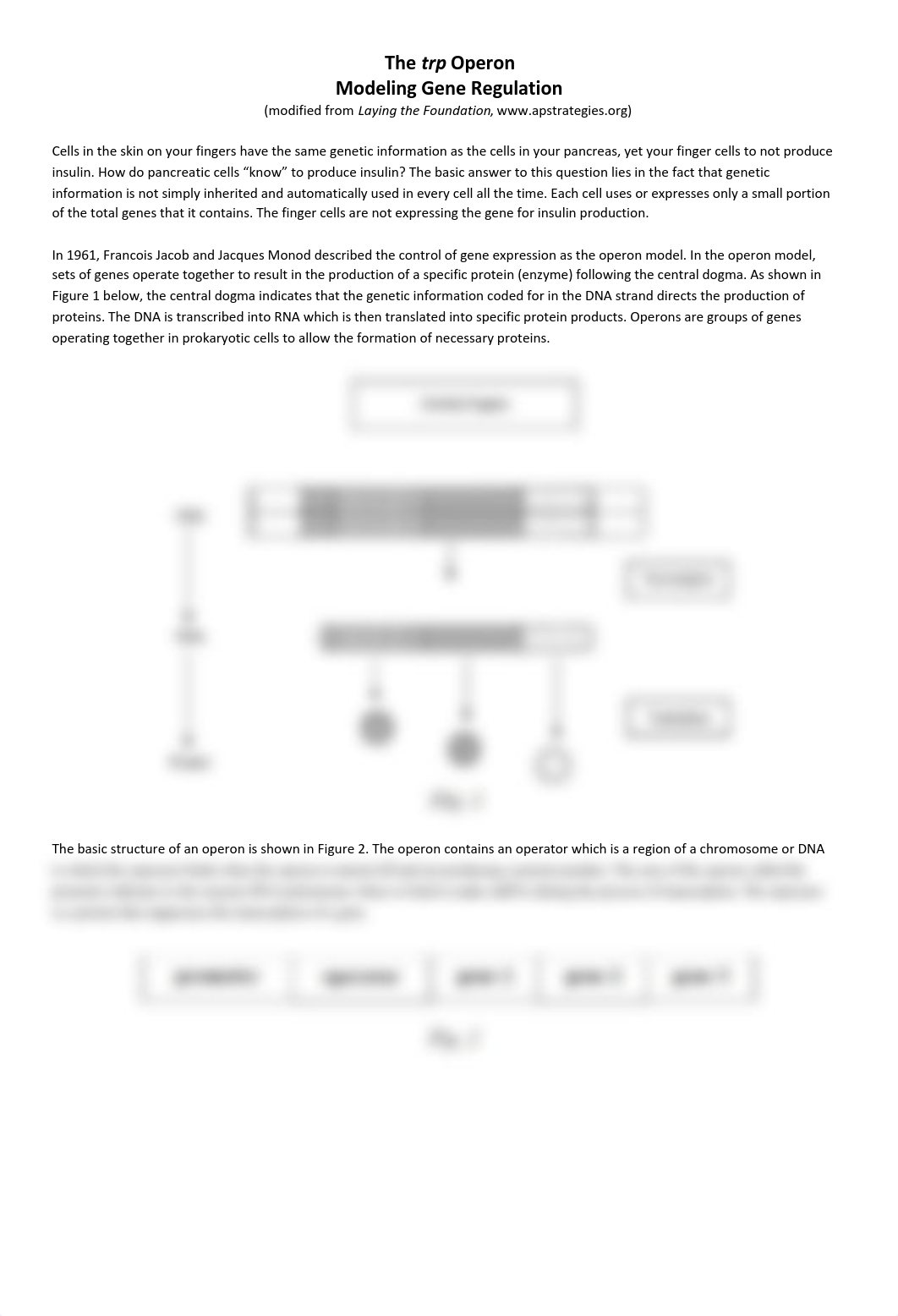 Copy of The trp Operon.pdf_dj4rb5pkzrh_page1