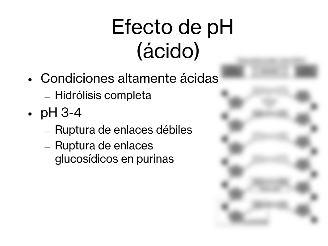 2 Propiedades de los acidos nucleicos(1).pdf_dj4vsykyvr5_page5