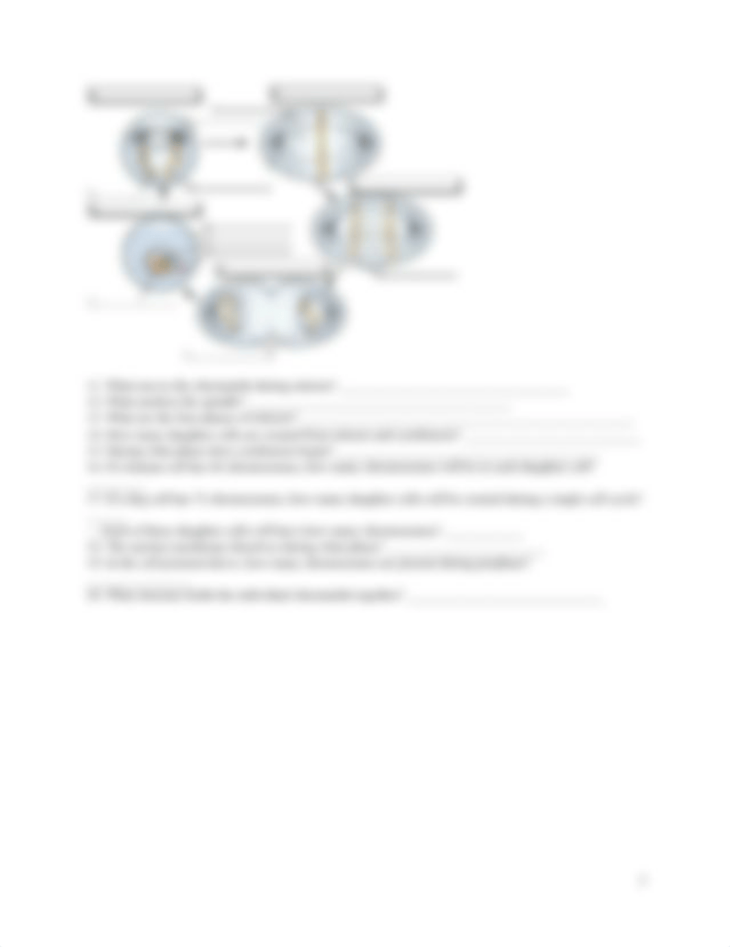 bio 160 lab k mitosis_dj4xv4x0mvn_page3