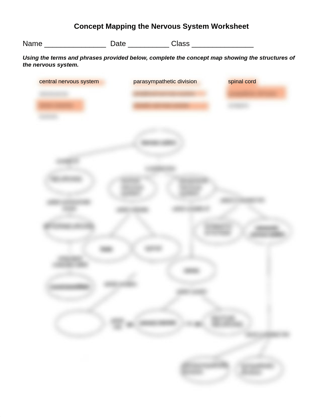 Clinetria Hoyle - Nervous System Concept Map and Divisions.pdf_dj50mx15iit_page1