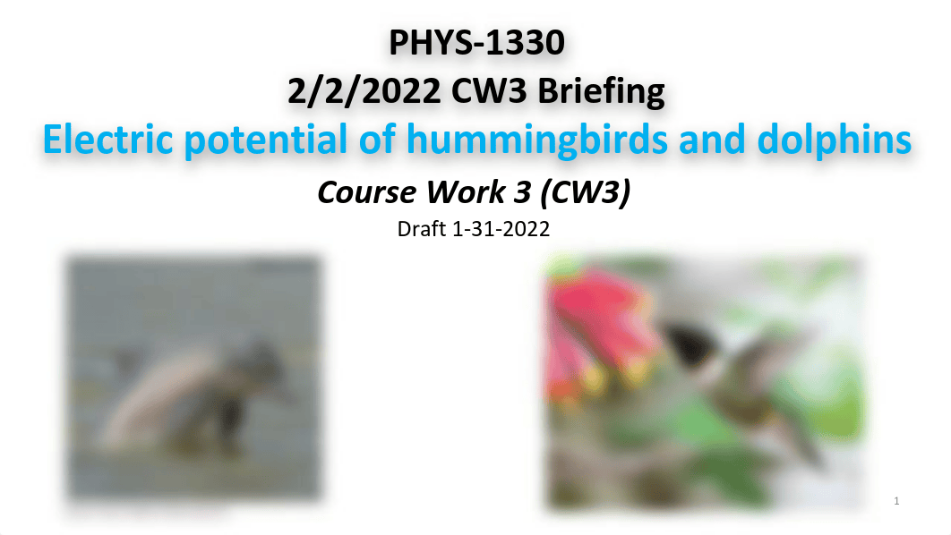 phys 1330 2-2-2022 CW3 Electric potential of hummingbird and dolphins.pdf_dj57dps2lr0_page1