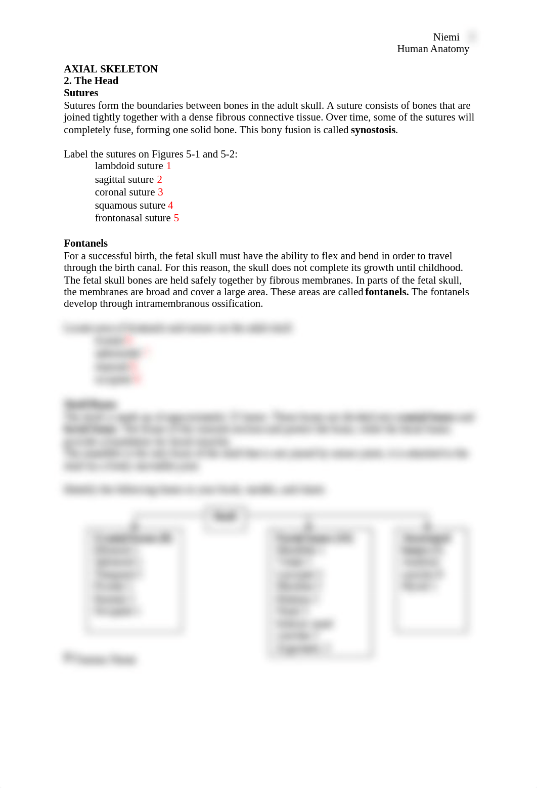 Lab Axial and Appendicular Skeletal System Fall 2020.doc_dj5b9m3o6js_page2