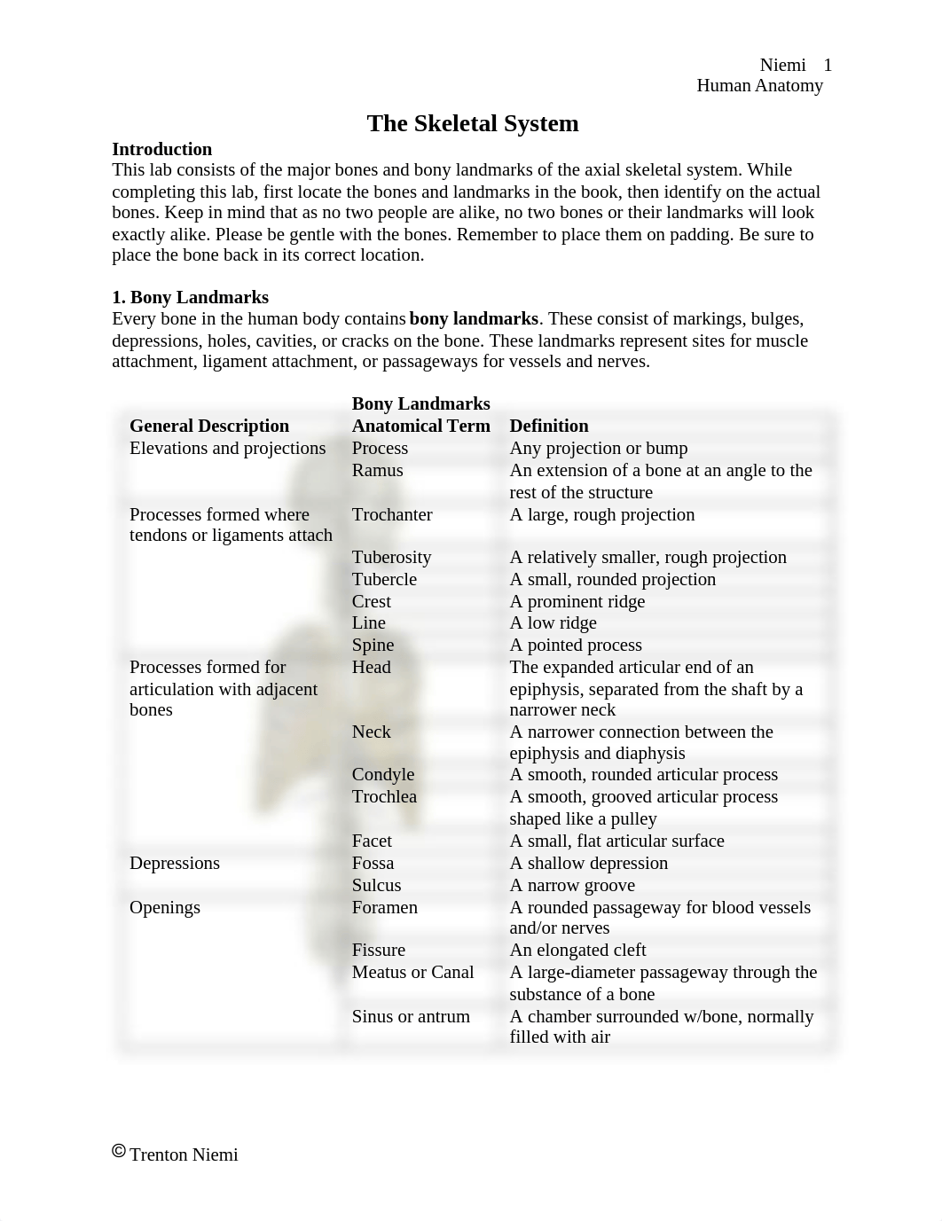 Lab Axial and Appendicular Skeletal System Fall 2020.doc_dj5b9m3o6js_page1