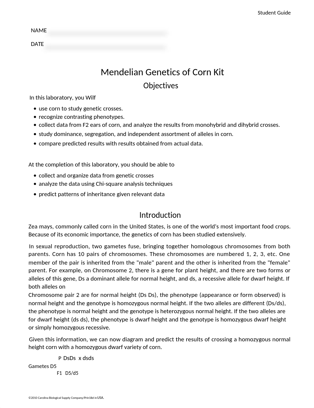 Mendelian Genetics of Corn Kit-Word Version.docx_dj5wsdtm4g9_page1