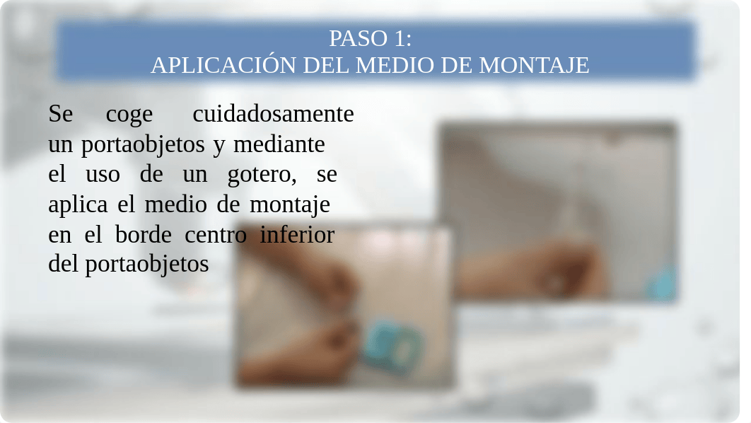 Diagrama de la preparación de una montura húmeda-.pptx_dj67c7o4cua_page2