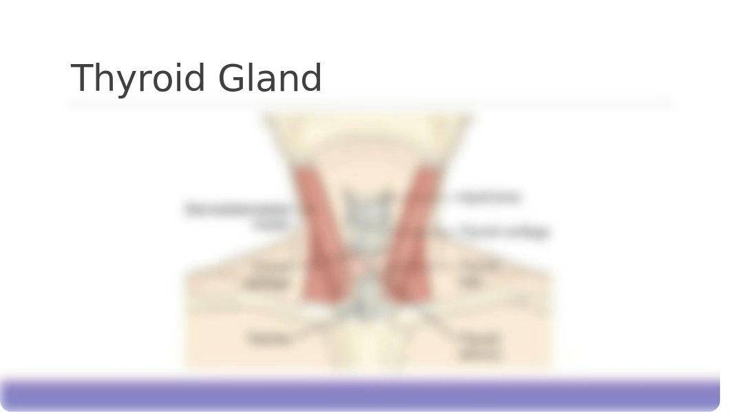 Assessment and Management of Patients with Endocrine Disorders - Thyroid Disorders (Chapte.pptx_dj680suel1m_page5