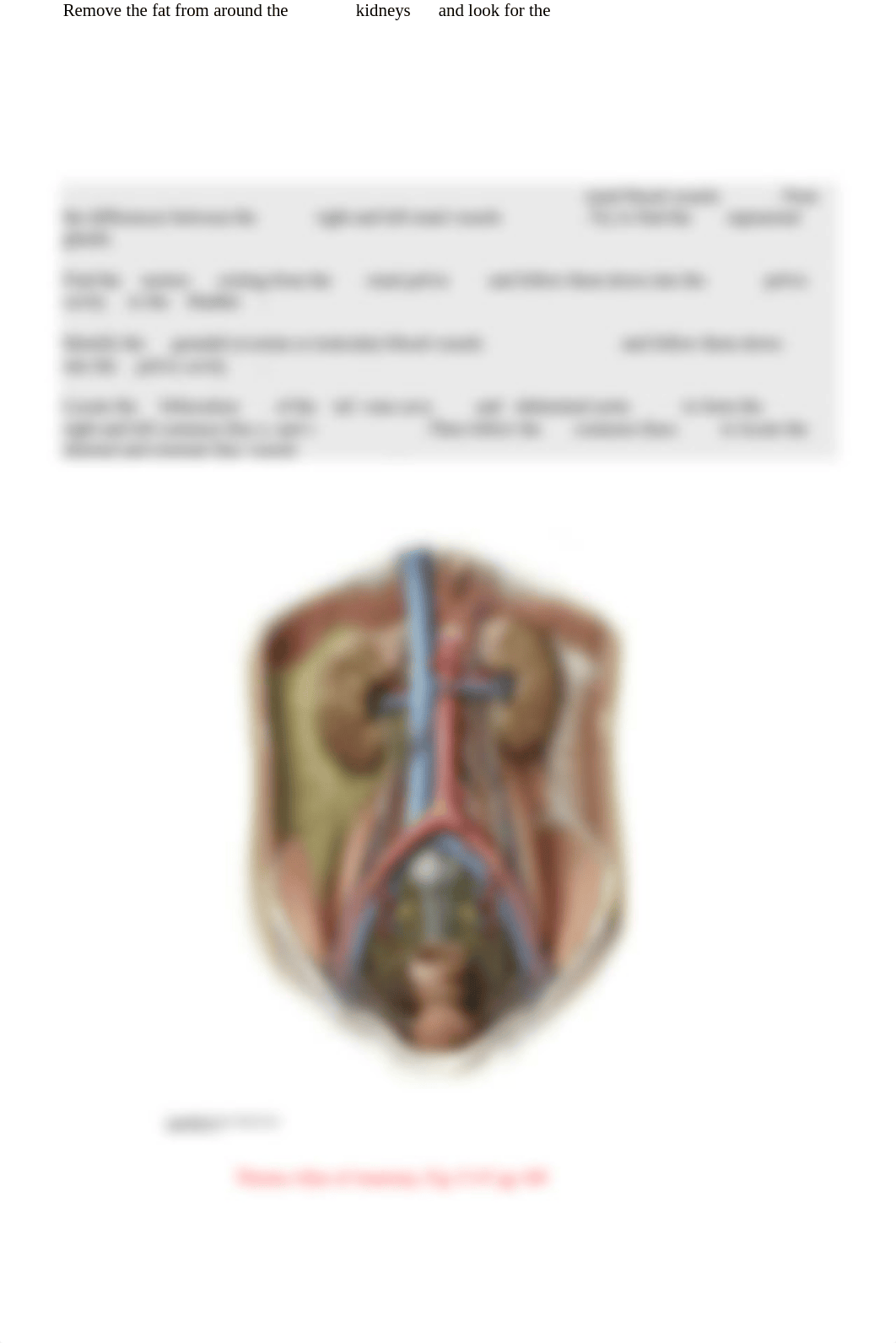 3 Retroperitoneal Organs.pdf_dj68qenrqz9_page2