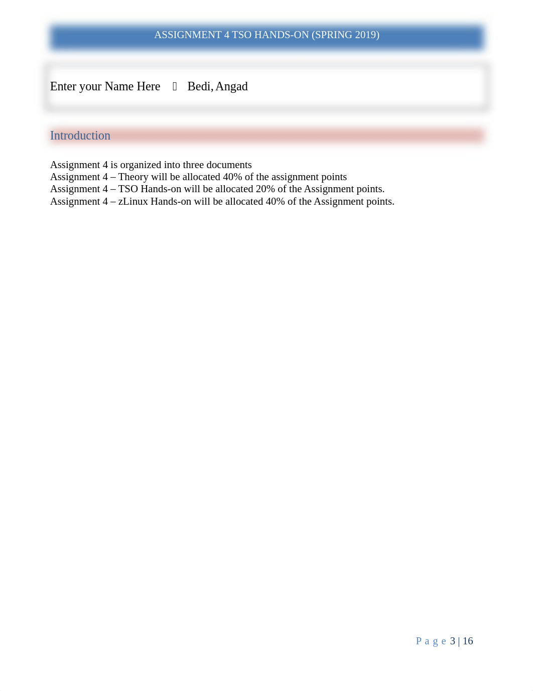 Assignment_4_TSO_Hands-on_Spring_2019.docx_dj6a5y3jyb7_page3