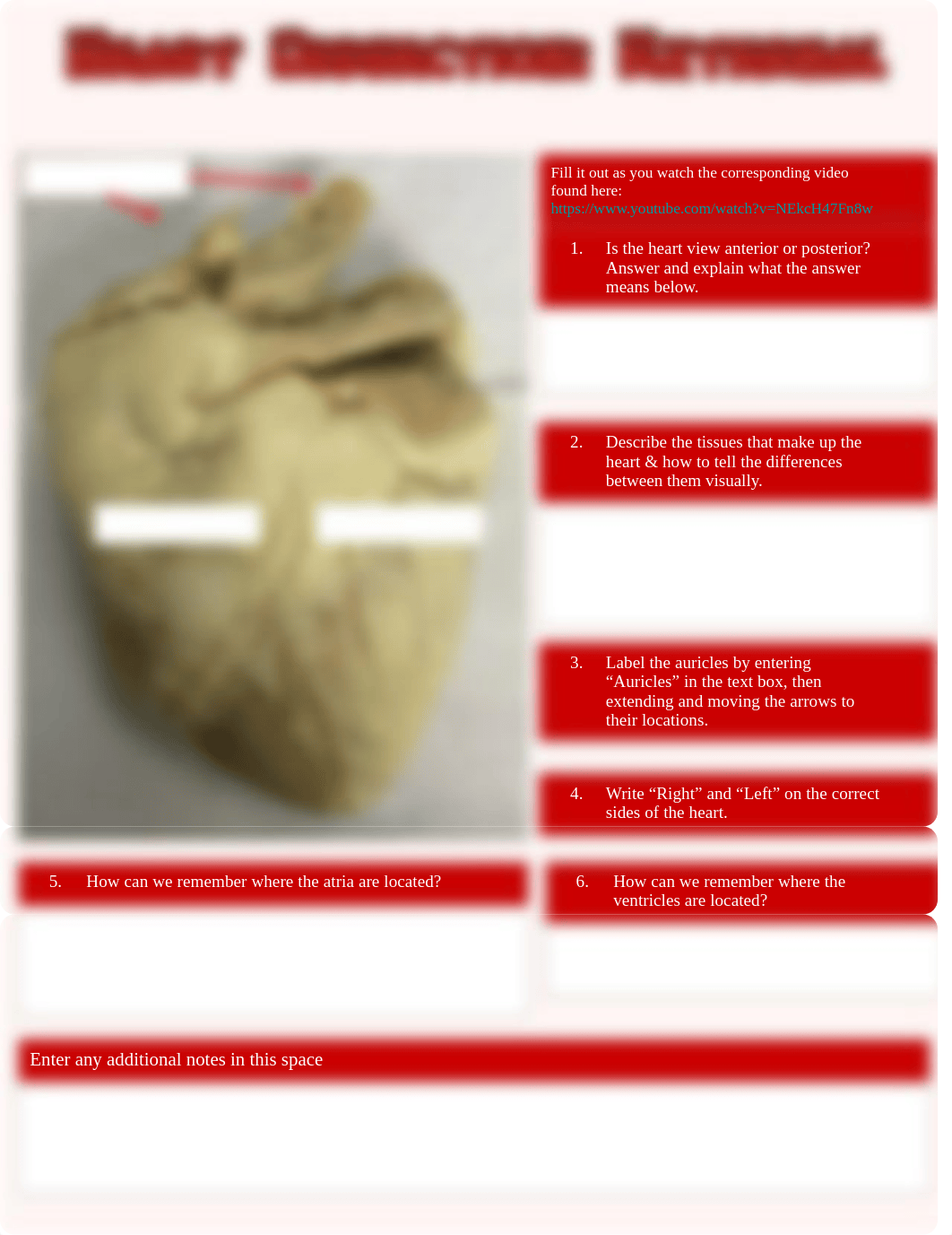 Avyonna Edwards - 1.2.5. Heart Anatomy Labeling for Virtual Students.pptx_dj6appf41e7_page1