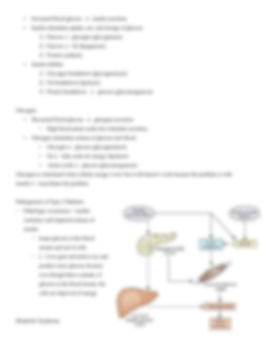 Diabetes Mellitus Patho Study Guide.docx_dj6u6a40o5a_page3