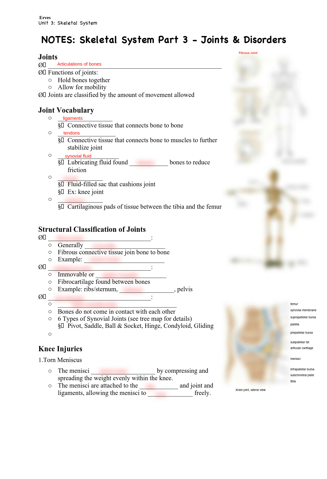 Skeletal_Sys_pt_3.pdf_dj6wcpbcosc_page1