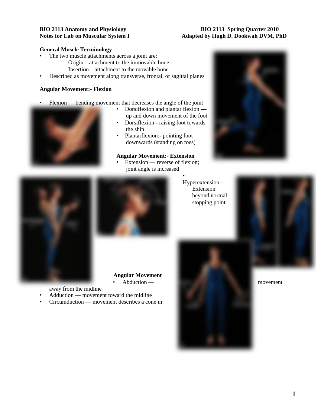 BIO_2113__Lab_4_Muscular_System_notes_dj6xjbnvvg9_page1