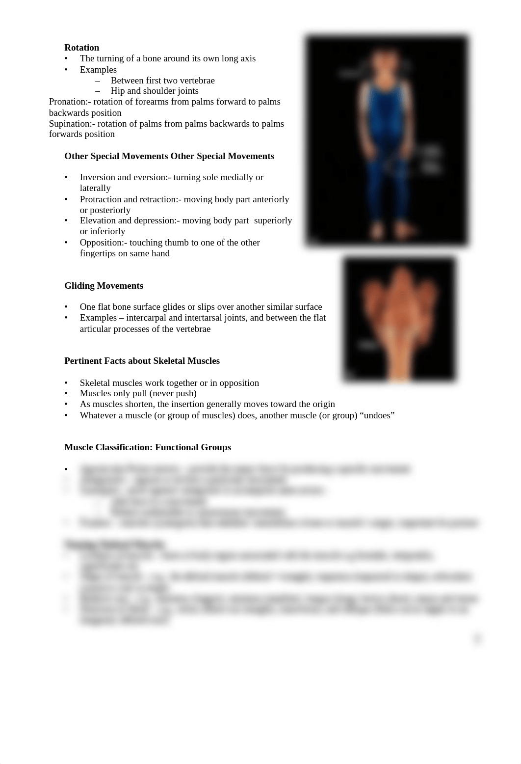 BIO_2113__Lab_4_Muscular_System_notes_dj6xjbnvvg9_page2