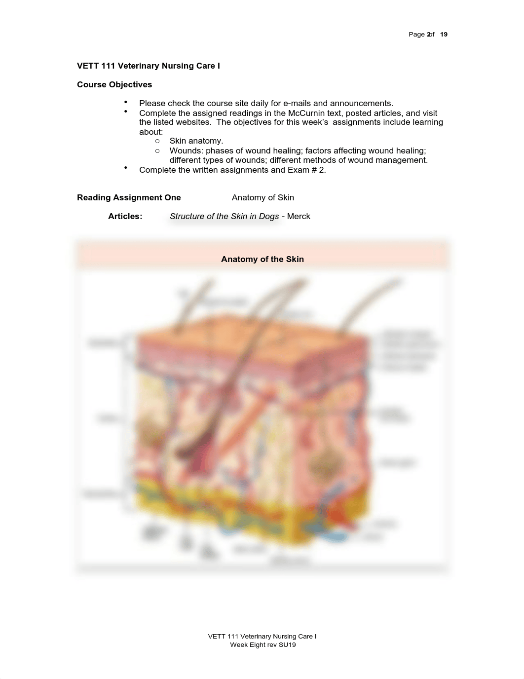 8 VETT 111 Skin Wounds rev1 SU21 Wk EIGHT w:answers .pdf_dj73g1e6xmr_page2