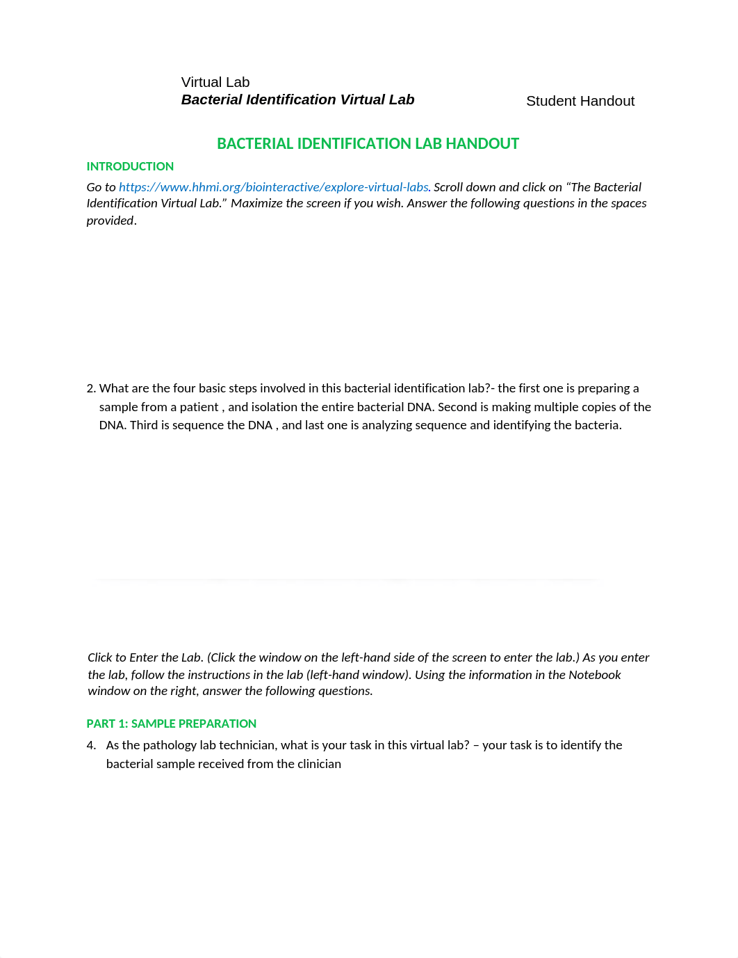 Bacterial-Identification-Lab-Worksheet-Student.docx_dj74742yuz6_page1