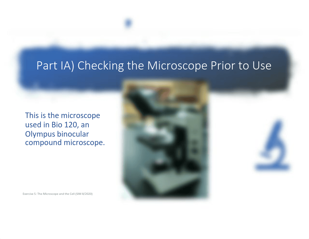 SCOPES and CELLS GC Bio 120 Lab Presentation Lab 5 Microscope and Cell 2020 F online.pdf_dj7ce60774j_page2