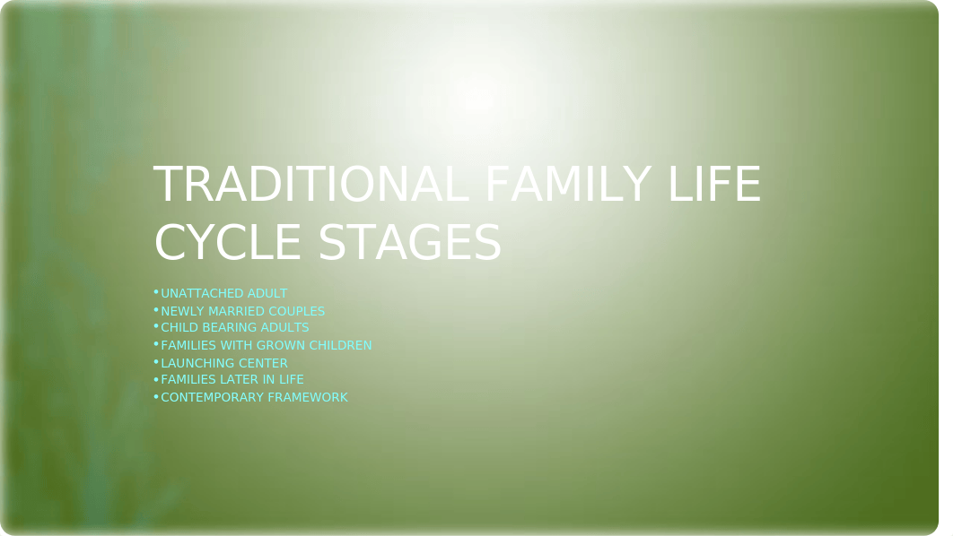 Traditional Family Life Cycle Stages (1).pptx_dj7ir62ktsf_page1