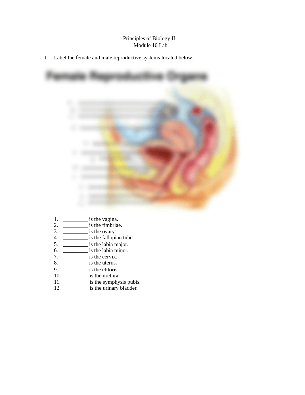 Module 10 Lab.pdf_dj7sam59048_page1