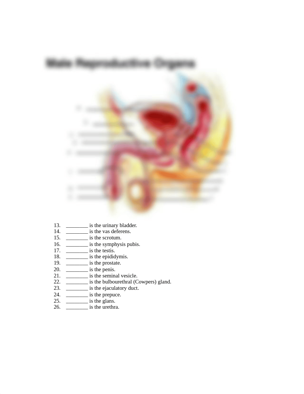 Module 10 Lab.pdf_dj7sam59048_page2