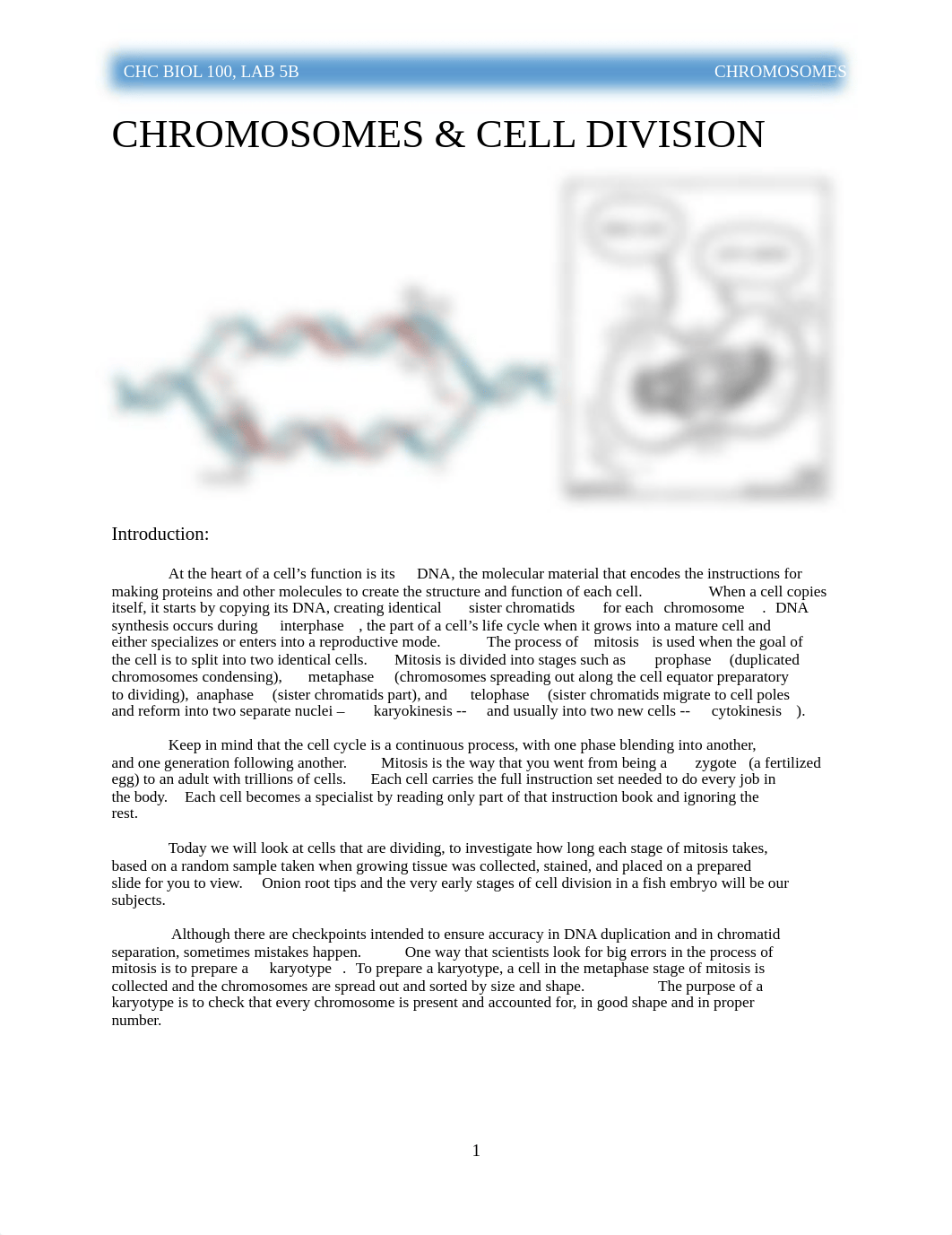 06 100 Lab S19 Mitosis.pdf_dj7wphty0hf_page1