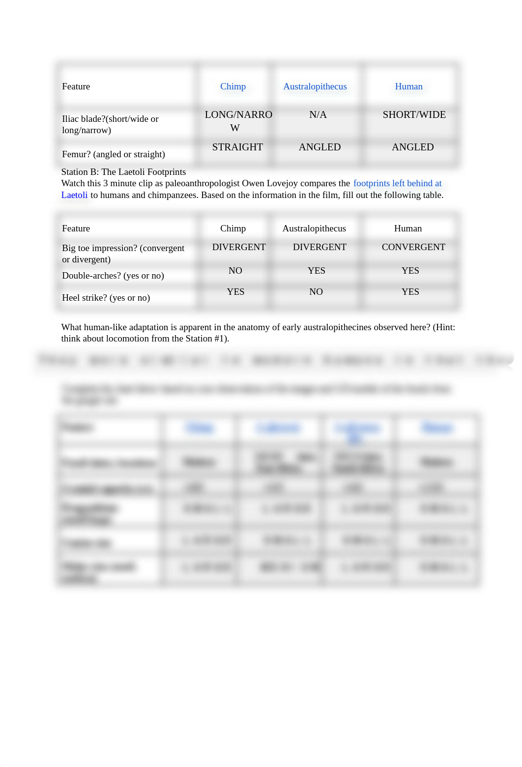 LAST LAB.docx_dj7ya0da0un_page2